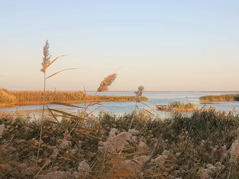 额济纳 · 居延海